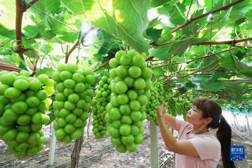 银钻娱乐手机版下载